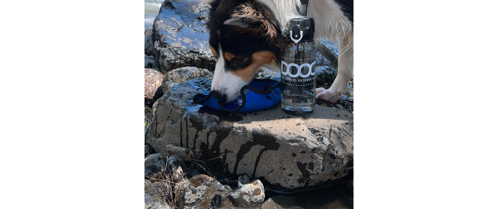 Doog 3-in-1 Water Bottle Blau