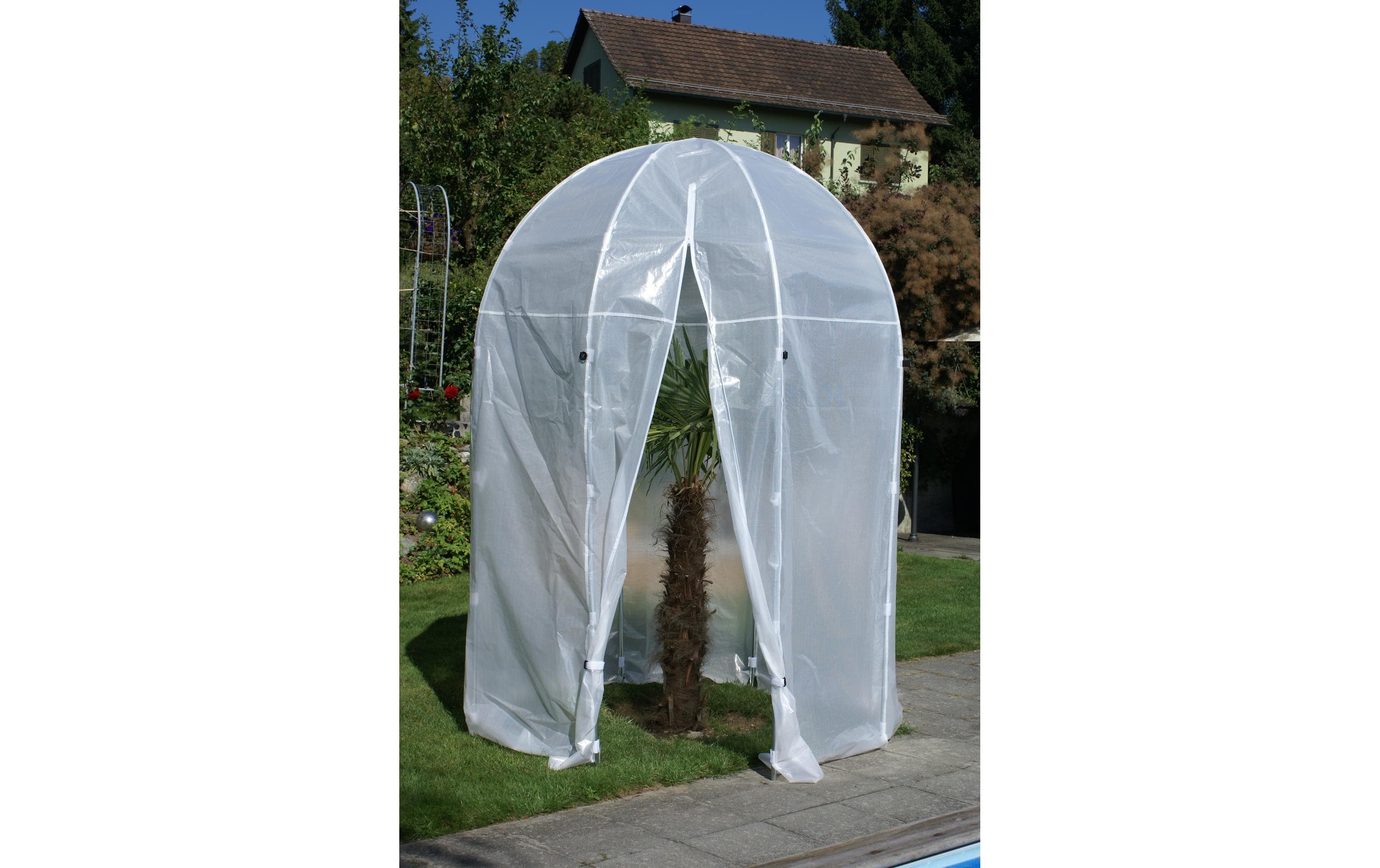 Colibri Premium Palmenhaus M, 200 x 275 cm