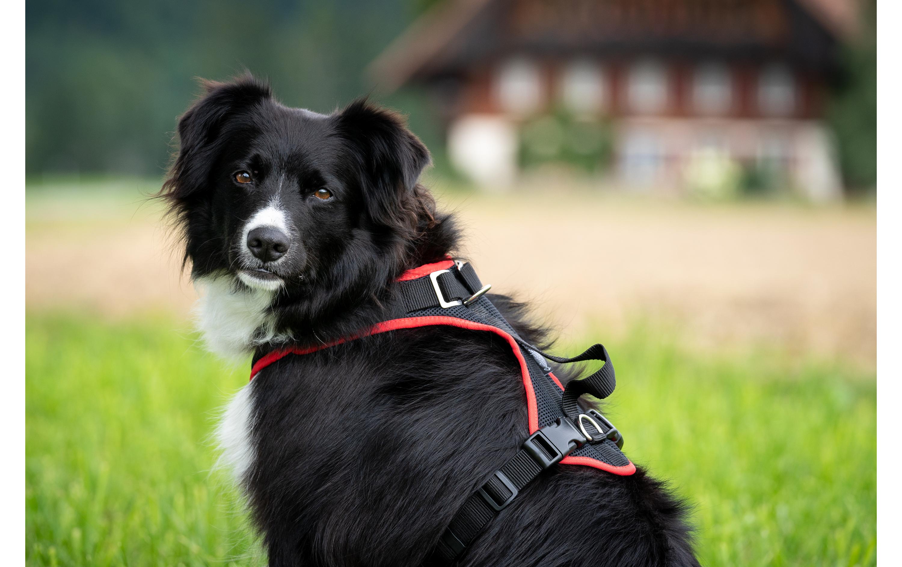 Grossenbacher Geschirr Vary, Türkis