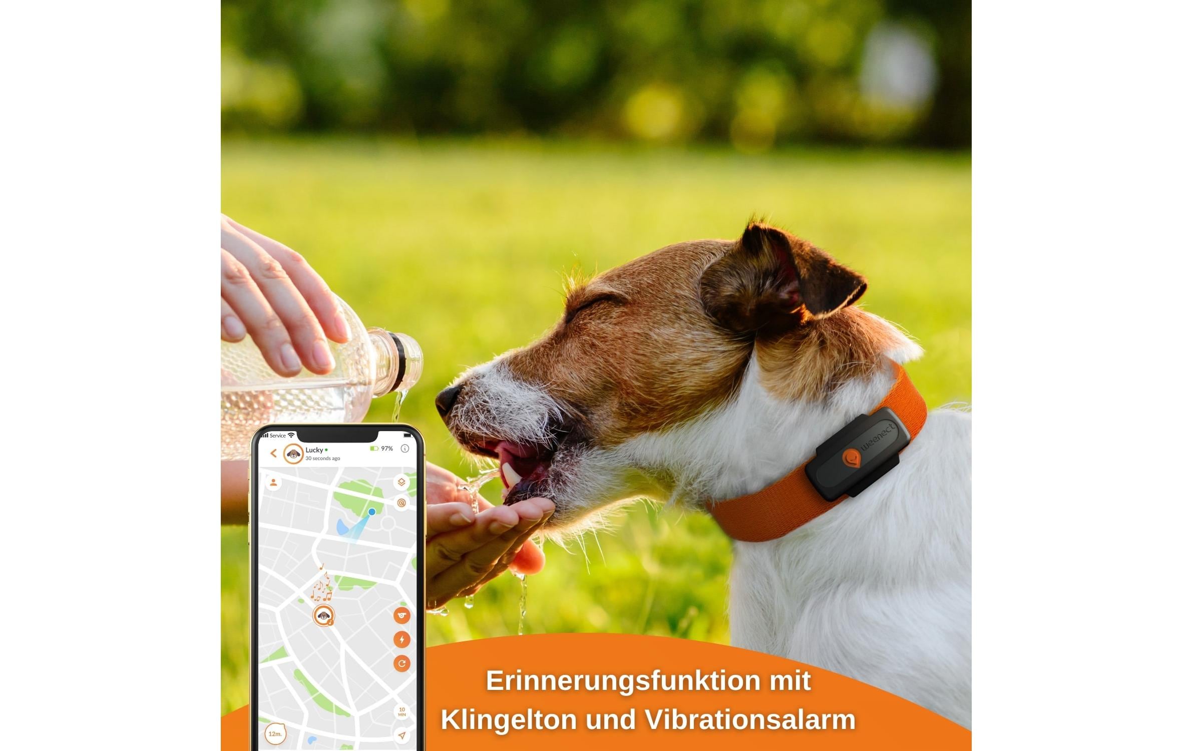 Weenect GPS-Tracker XS für Hunde, Schwarz