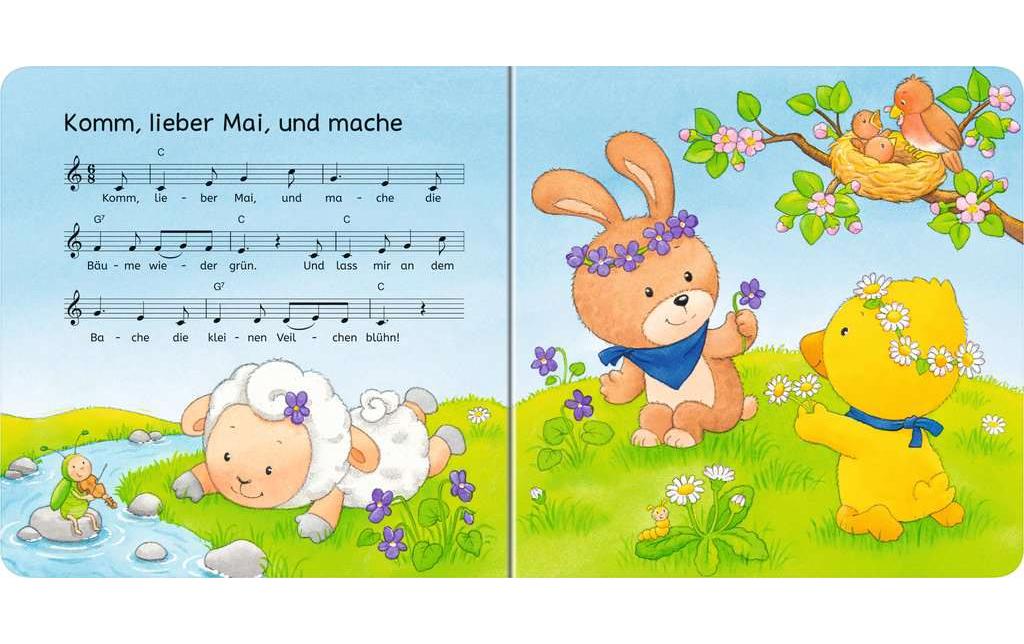 Ravensburger Bilderbuch ministeps: Hör rein, sing mit