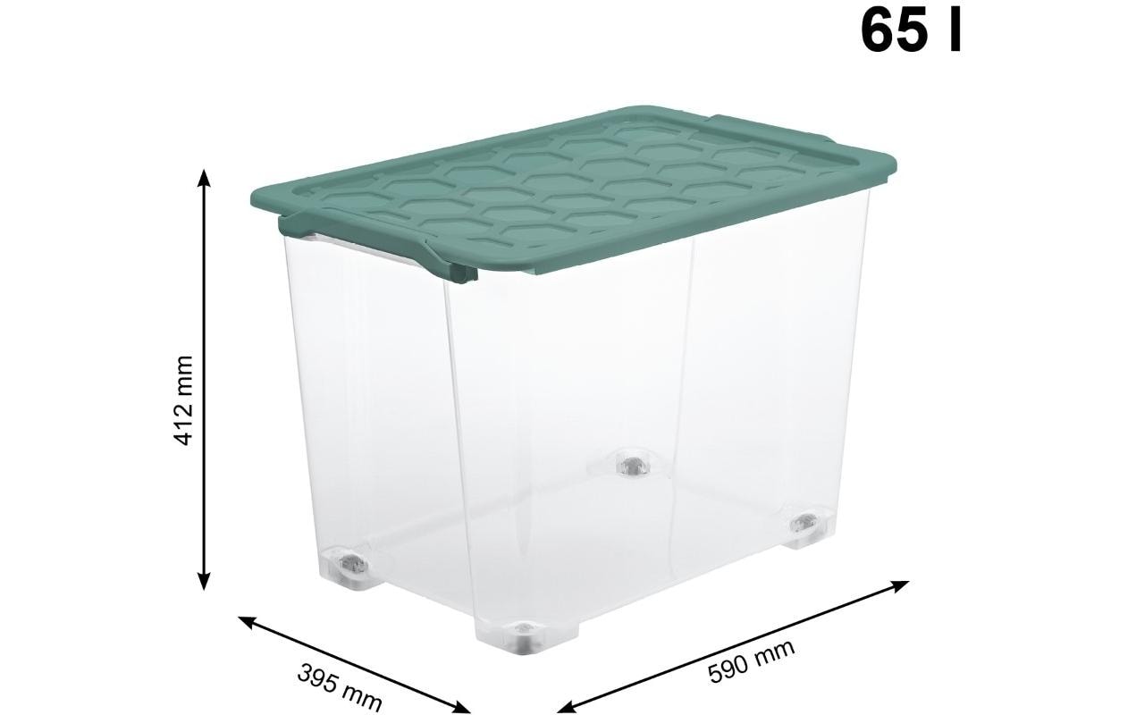 Rotho Aufbewahrungsbox Evo Safe 65 l, Grün/Transparent