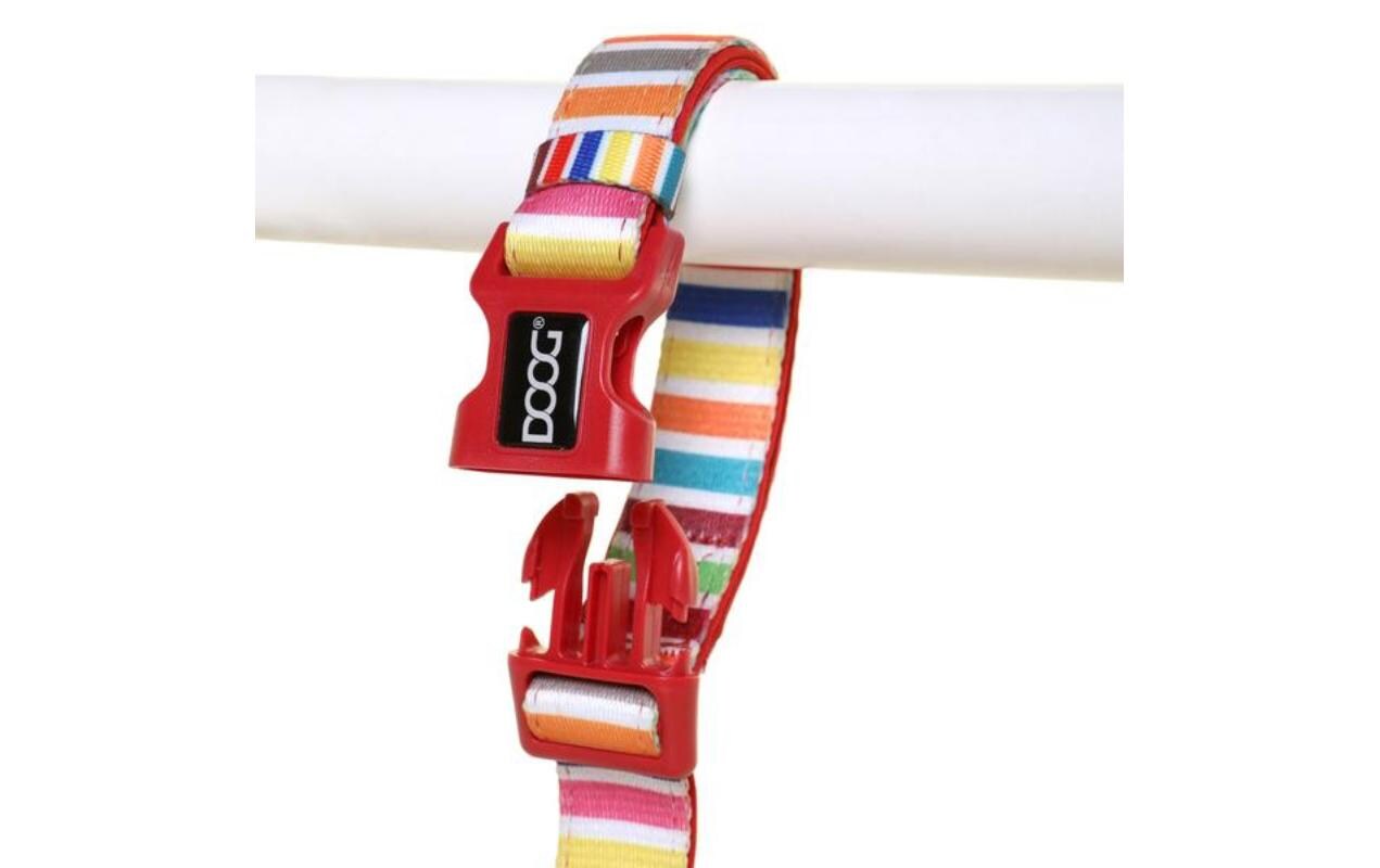 Doog Halsband Scooby M Multicolor gestreift