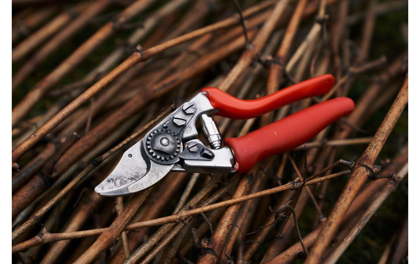 Felco Gartenschere Felco 15 Grösse S