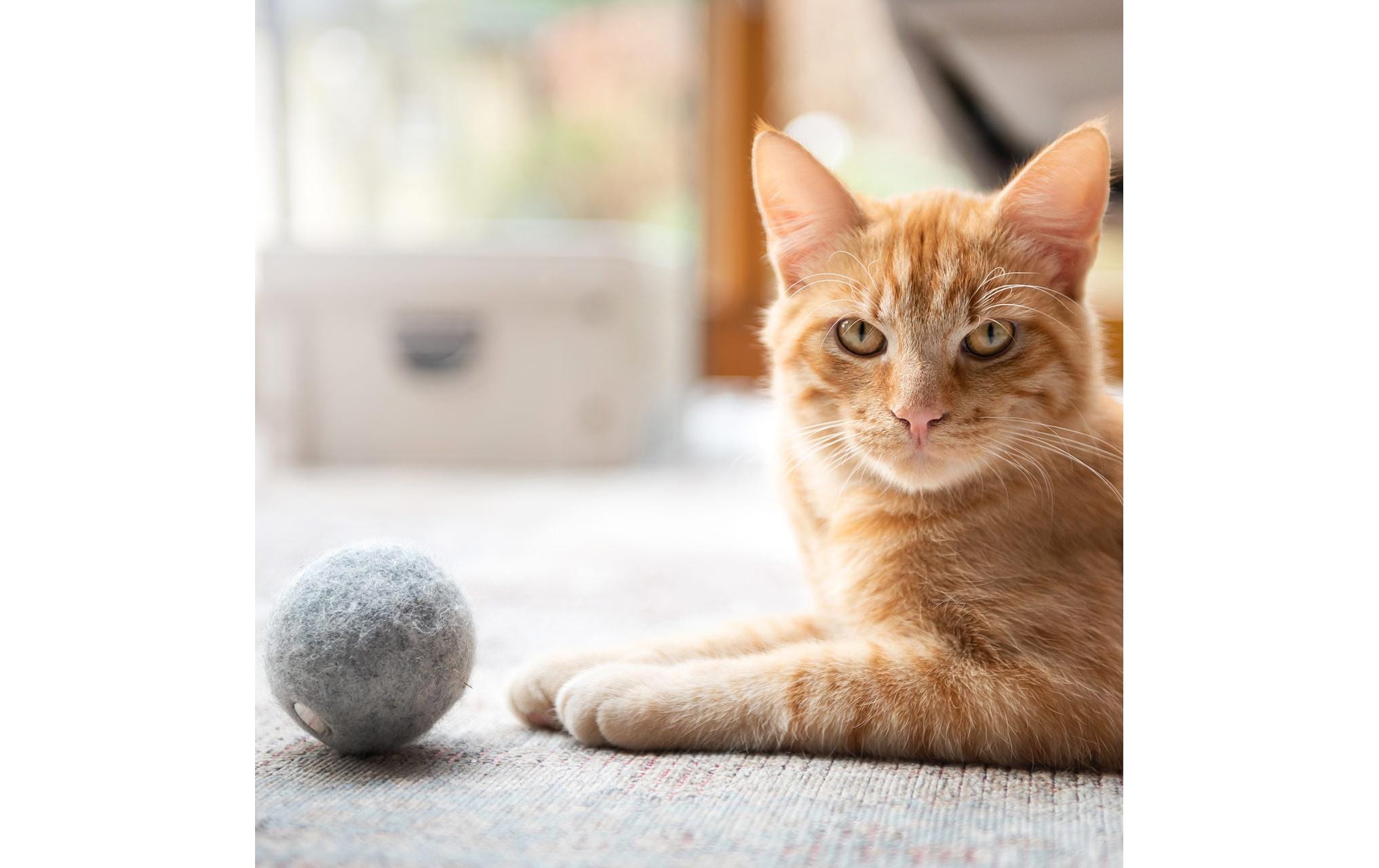 CanadianCat Katzen-Spielzeug Filzball mit Dufttasche