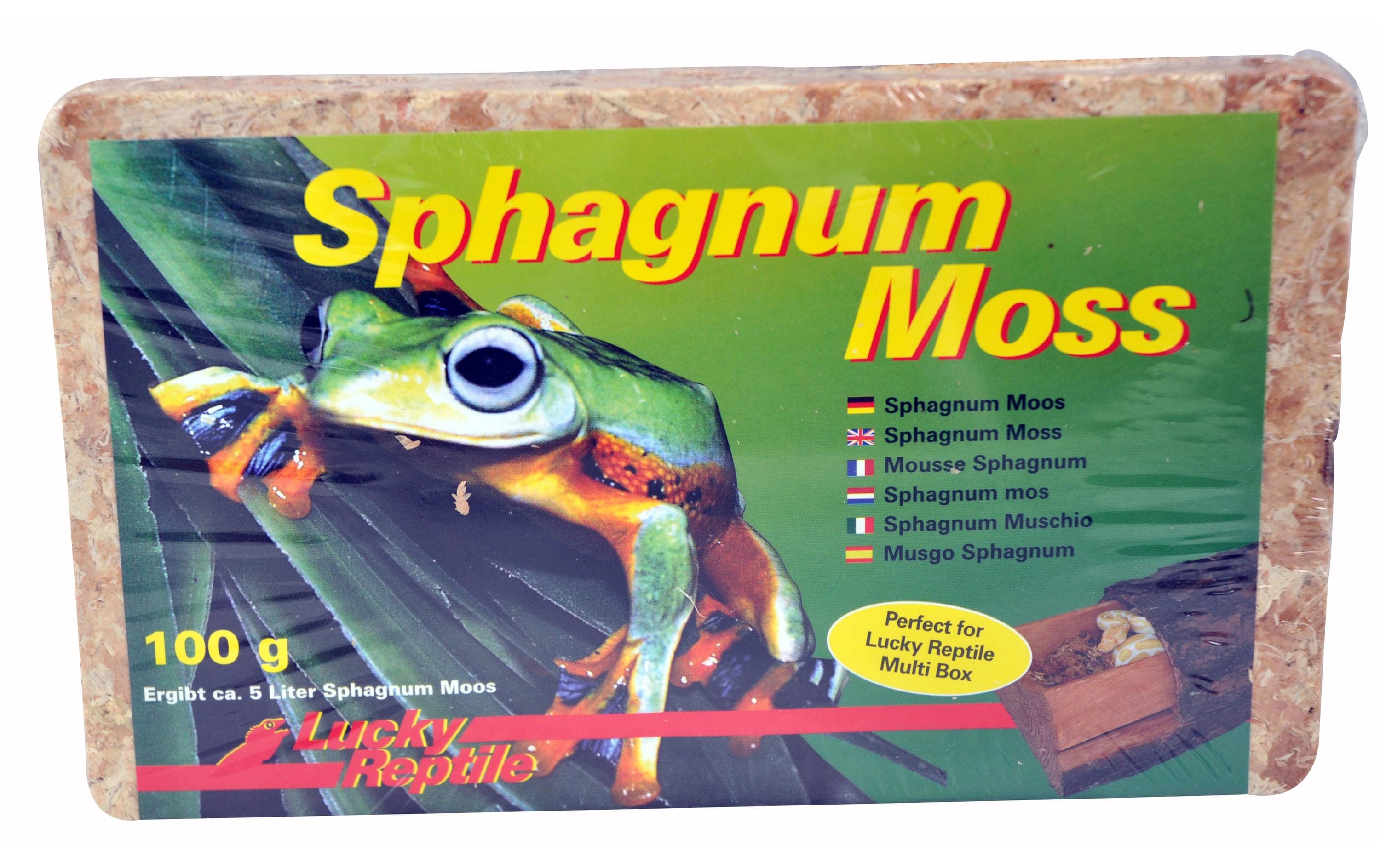 Lucky Reptile Bodensubstrat Sphagnum Moss 100 g/5 l