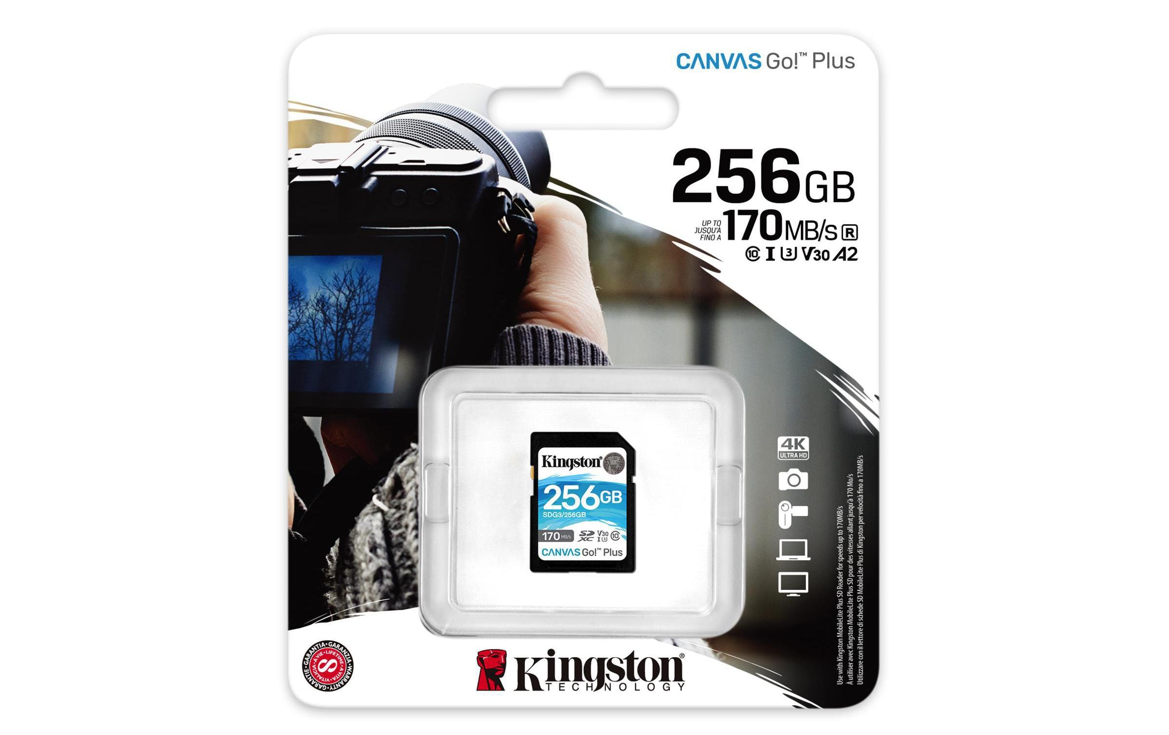 Kingston SDXC-Karte Canvas Go! Plus UHS-I U3 V30 256 GB