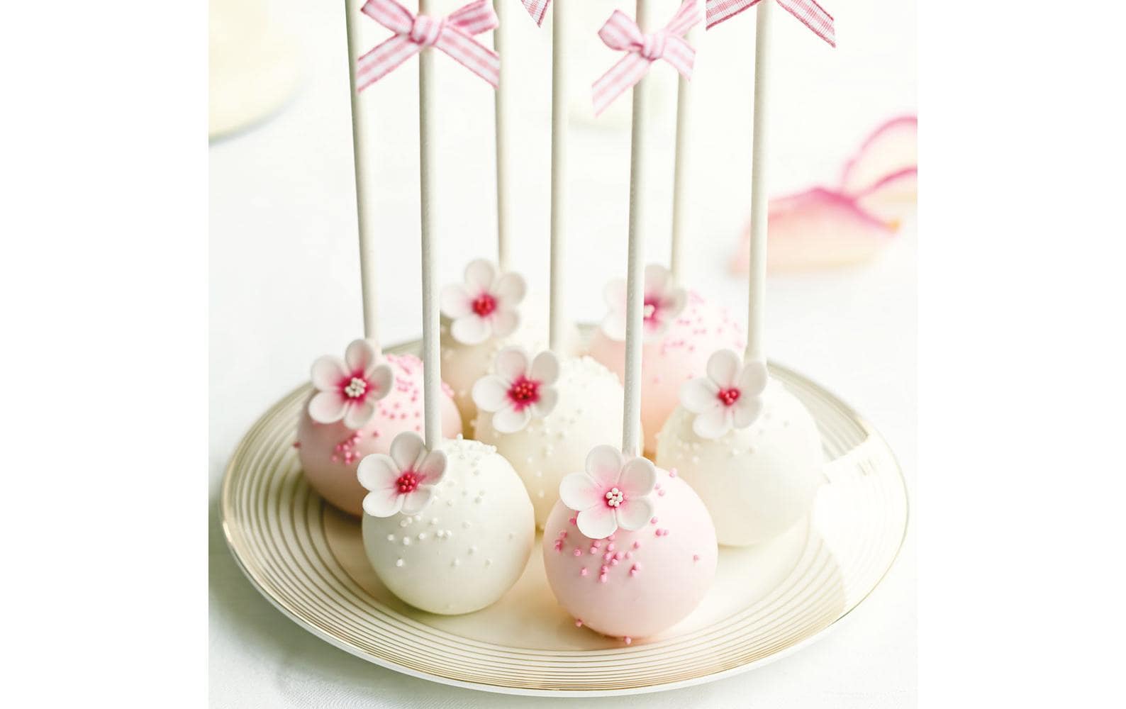 Decora Cake Pop Stäbe Weiss