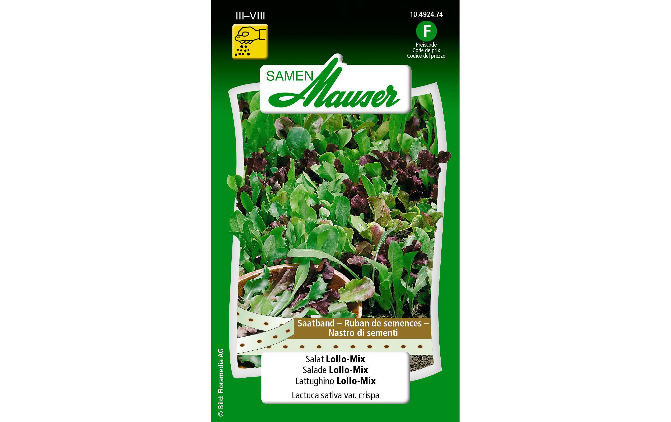 Samen Mauser Saatband Urban Gardening Salat Lollo-Mix