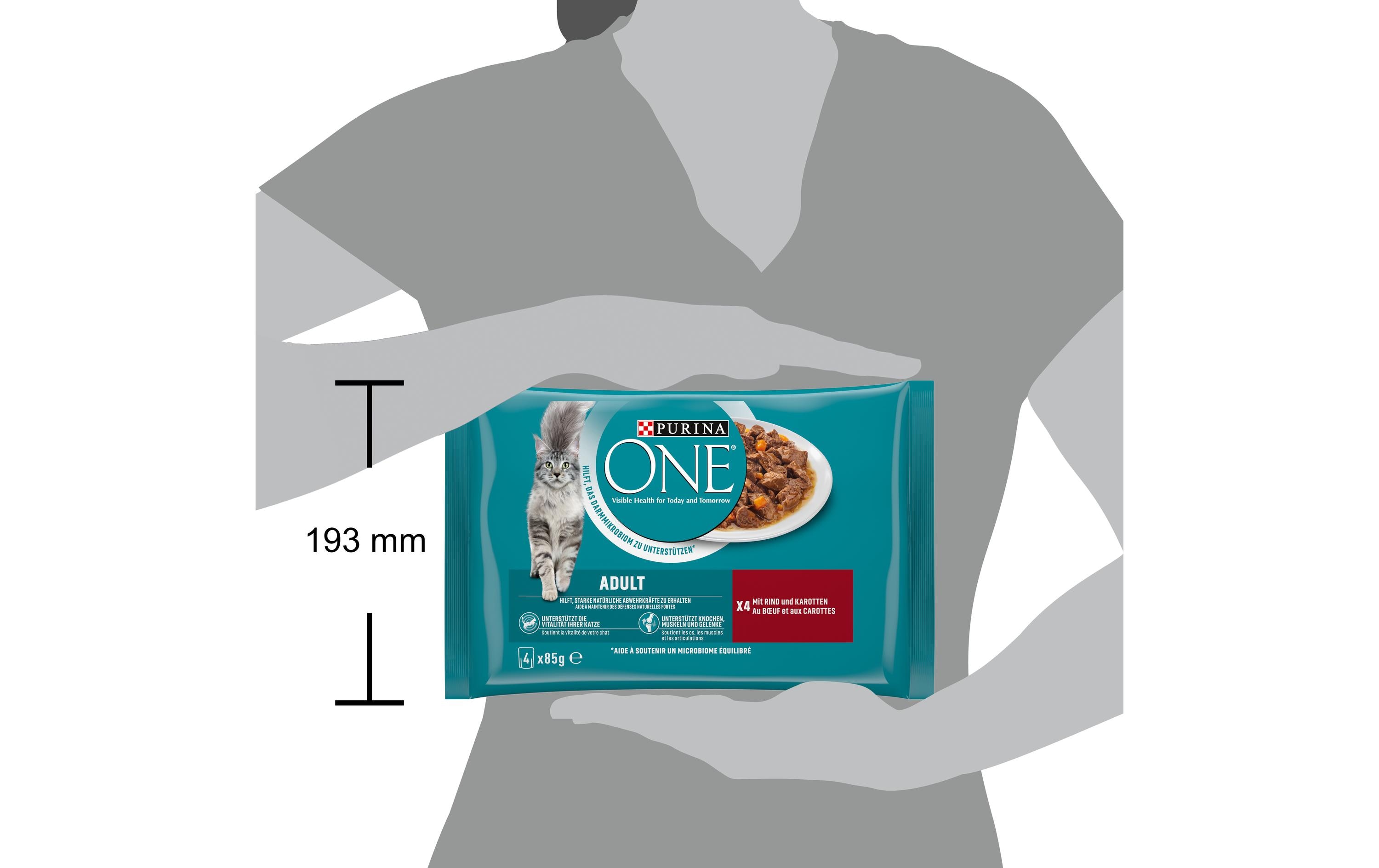 Purina ONE Nassfutter ADULT in Sauce Rind/Karotten, 4 x 85g