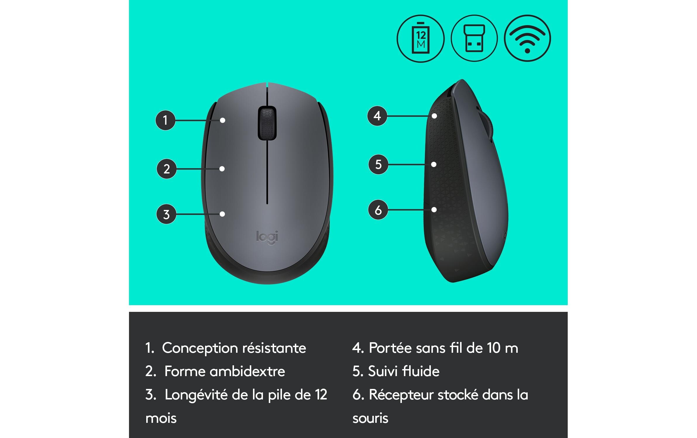 Logitech Maus M170 , kabellos