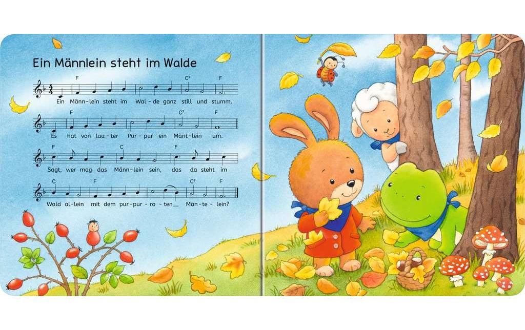 Ravensburger Bilderbuch ministeps: Hör rein, sing mit