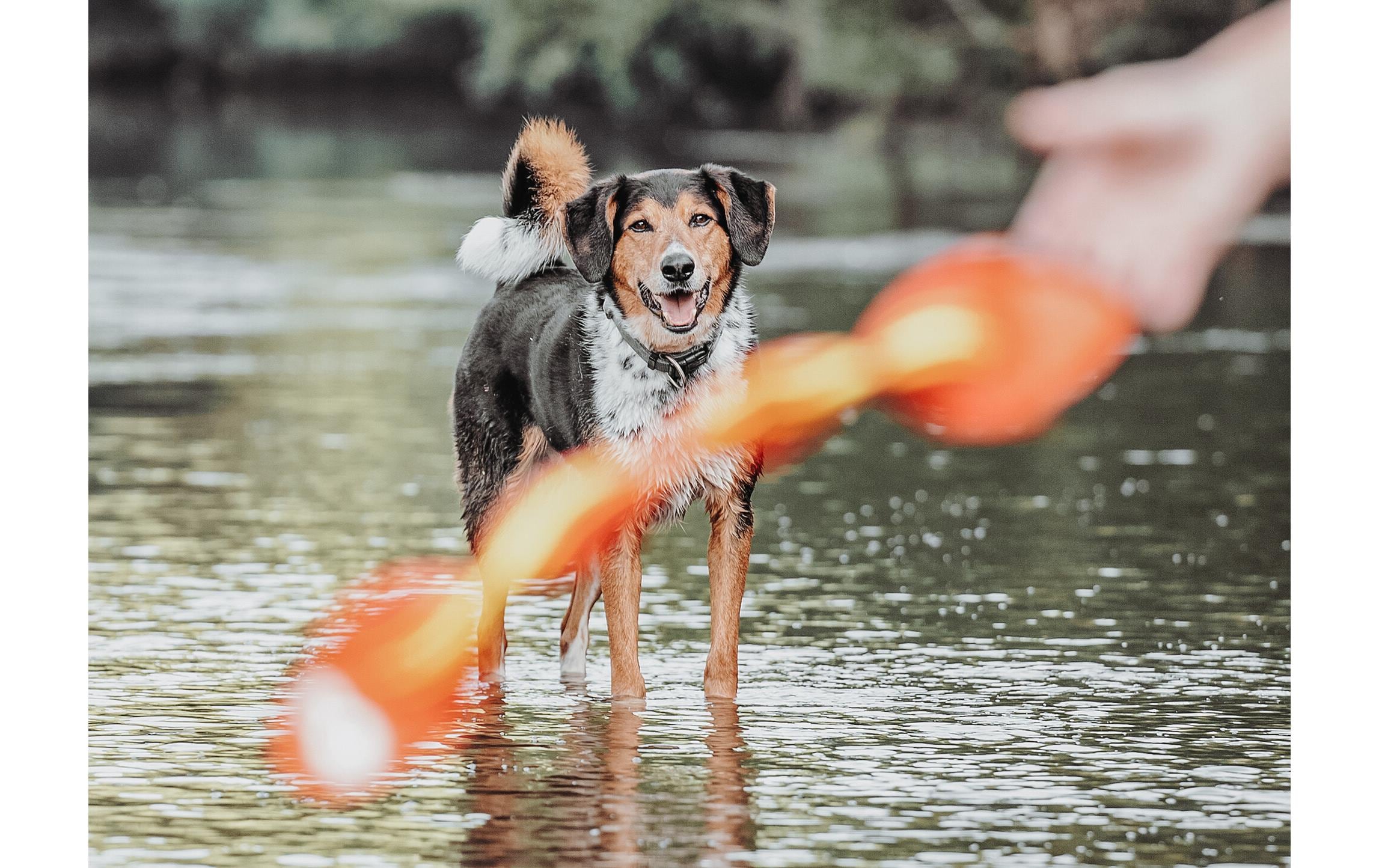 Hunter Hunde-Spielzeug Aqua Mindelo, Orange, 52 cm